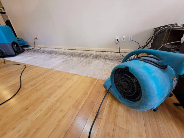 Professional Structural Drying technician working in Nordland, WA